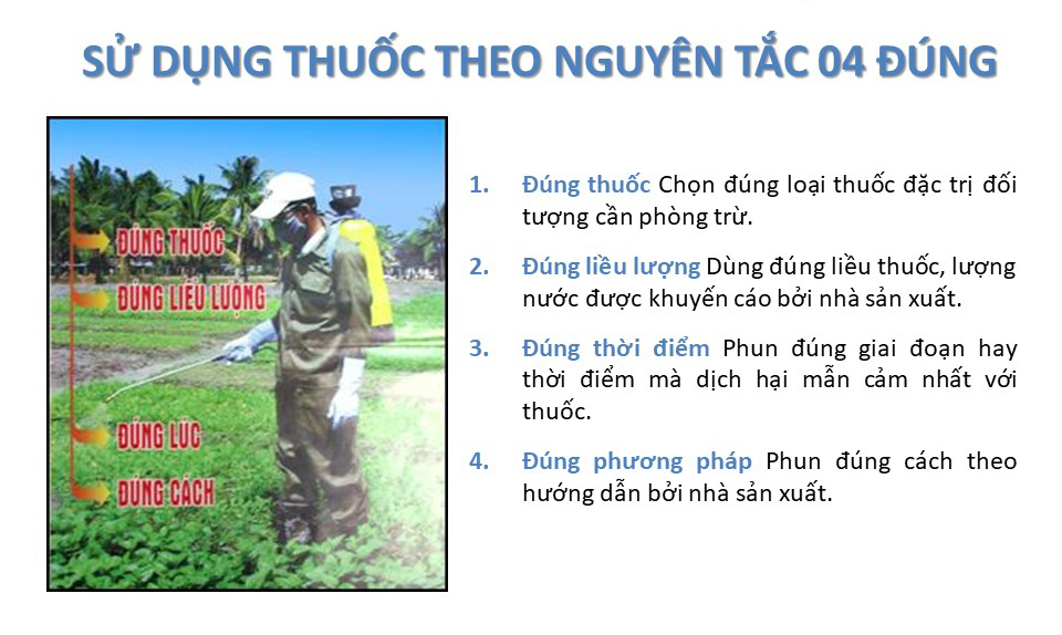 su dung thuoc an toan 3